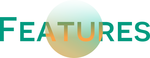 当事務所の決算の特徴